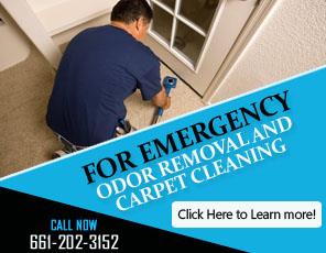 Mold Damage Cleanup - Carpet Cleaning Lancaster, CA