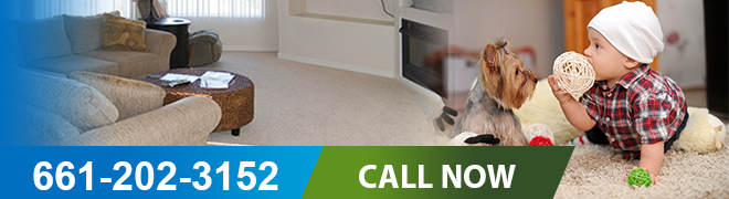 Carpet Cleaning Services